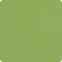 Canvas Ginkgo optional cushion fabric swatch