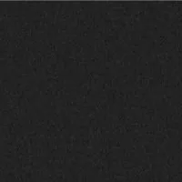 Black umbrella fabric swatch