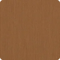 Canvas Cork umbrella fabric swatch
