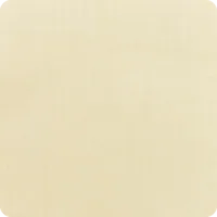 Canvas Vellum umbrella fabric swatch