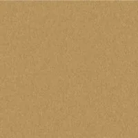 Golden umbrella fabric swatch