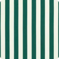 Mason Forest Green umbrella fabric swatch