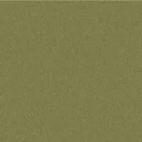 Olive umbrella fabric swatch