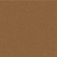 Sepia umbrella fabric swatch