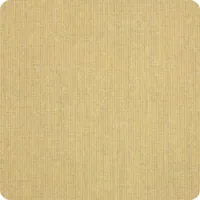 Spectrum Almond umbrella fabric swatch