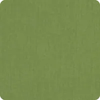 Spectrum Cilantro umbrella fabric swatch