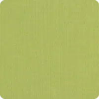 Spectrum Kiwi umbrella fabric swatch