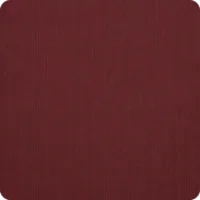 Spectrum Ruby umbrella fabric swatch