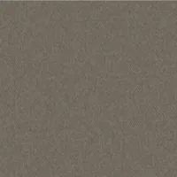Taupe umbrella fabric swatch