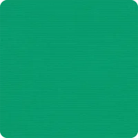 Erin Green 4600-0000 umbrella fabric swatch